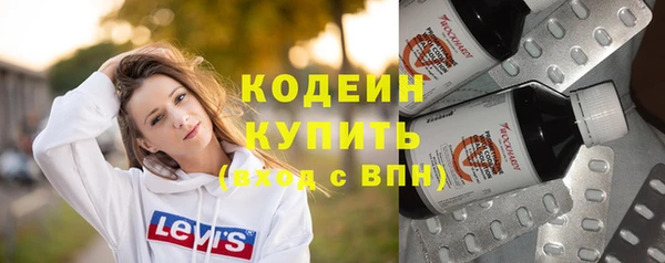 шишки Киренск