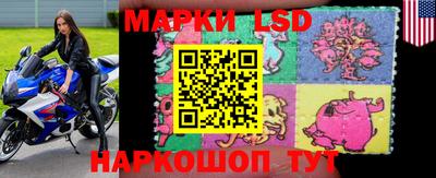 a pvp Берёзовский