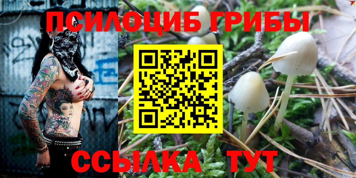 Псилоцибиновые грибы MAGIC MUSHROOMS Горячий Ключ