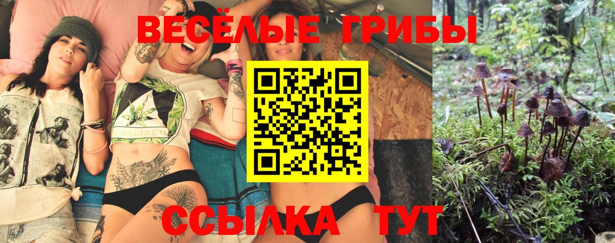 Галлюциногенные грибы ЛСД Горячий Ключ