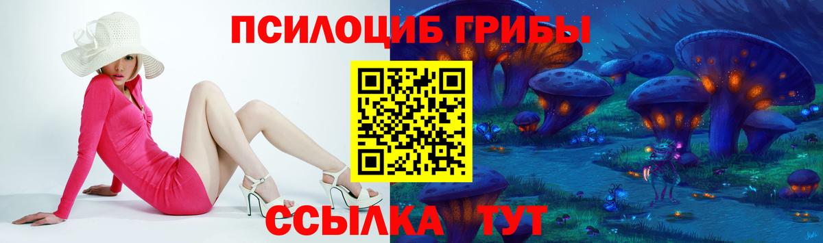 Горячий Ключ  Галлюциногенные грибы Psilocybine cubensis  Вход с VPN 